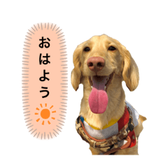 [LINEスタンプ] カニンヘンダックス2