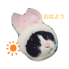 [LINEスタンプ] おもちときどきくろみつ