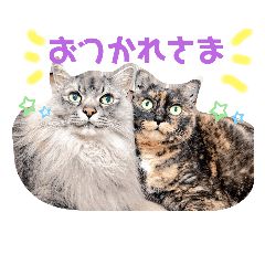 [LINEスタンプ] 大牙＆花ちゃん