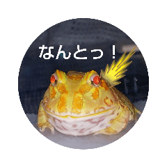 [LINEスタンプ] カエルさんベルツノガエル3