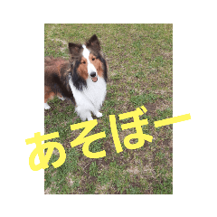 [LINEスタンプ] デイビス 1