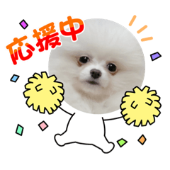 [LINEスタンプ] 初代モコちゃんスタンプ