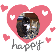 [LINEスタンプ] 化猫家族