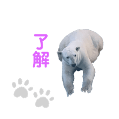 [LINEスタンプ] アニマルどうぶつえん