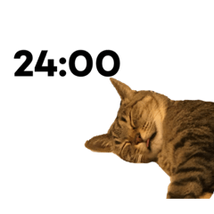 [LINEスタンプ] キジトラが時間をお知らせ
