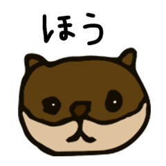 [LINEスタンプ] かわいいカワウソさん