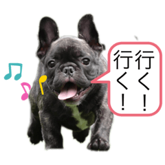 [LINEスタンプ] フレンチブルドッグ おはぎ4