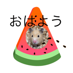 [LINEスタンプ] キンクマハムスター ころも2