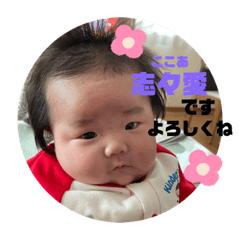 [LINEスタンプ] ここちゃん スタンプ ✩.*˚