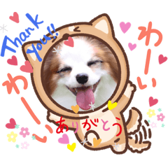 [LINEスタンプ] うちのミン4