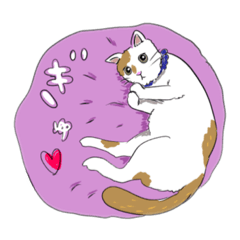 [LINEスタンプ] ねこのリカちゃん