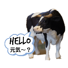 [LINEスタンプ] 写真を使って（22）の画像（メイン）