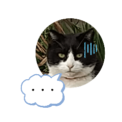 [LINEスタンプ] ブサ  可愛い❤️