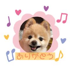 [LINEスタンプ] いいがやポンタスタンプ