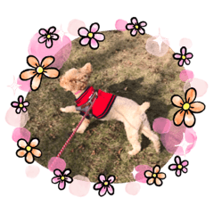 [LINEスタンプ] ダブルJ