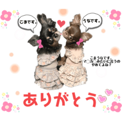 [LINEスタンプ] ♡こまちゃん♡うなちゃん♡スタンプ