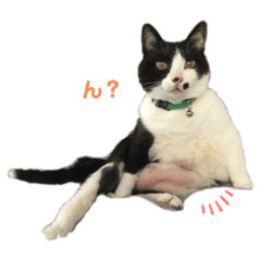 [LINEスタンプ] ちいまみれスタンプ
