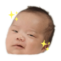 [LINEスタンプ] よっこいしょういち