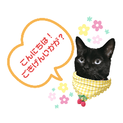 [LINEスタンプ] うちの黒MAGI♡3
