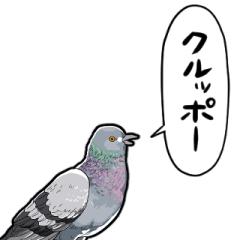 [LINEスタンプ] しゃべるハト