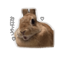 [LINEスタンプ] もあくんとモカちゃん