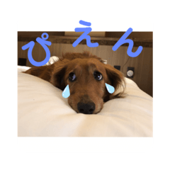 [LINEスタンプ] reon♡スタンプ