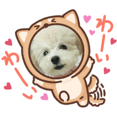 [LINEスタンプ] トイプードルのりぃたん☆2