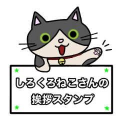 [LINEスタンプ] しろくろねこさんの挨拶スタンプ1