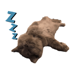 [LINEスタンプ] すずたま
