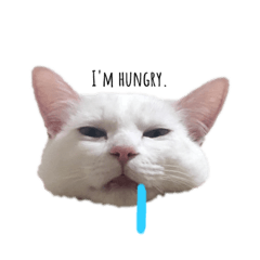 [LINEスタンプ] まろろん。