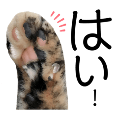 [LINEスタンプ] みーともん2
