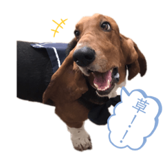 [LINEスタンプ] わくわく！《バセ校スタンプ》