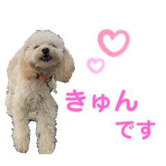 [LINEスタンプ] ふわふわベルちゃん第4弾