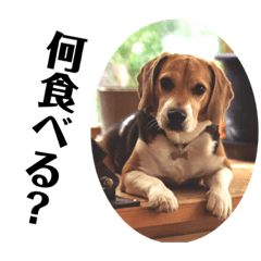 [LINEスタンプ] ビーグル犬 デイル4