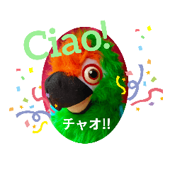 [LINEスタンプ] パッパガッロくん♪その2