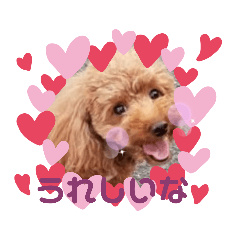 [LINEスタンプ] さっちゃんち☺️