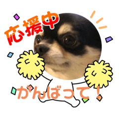 [LINEスタンプ] 麦太郎くん2