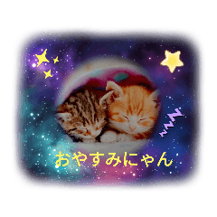 [LINEスタンプ] わんこ・にゃんこ