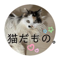 [LINEスタンプ] コロン美里音スタンプ③