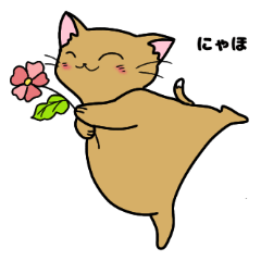 [LINEスタンプ] ほのぼのかわいいねこのスタンプ