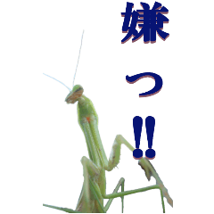 [LINEスタンプ] カマキリ4からーBIG