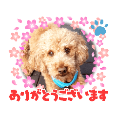 [LINEスタンプ] coco 20210325