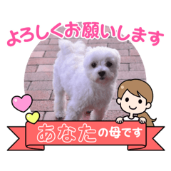 [LINEスタンプ] ターボーとハックン