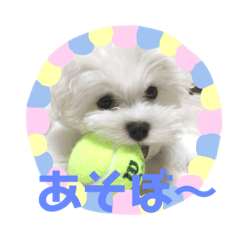 [LINEスタンプ] ゆきちクン