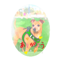 [LINEスタンプ] キキちゃん2021
