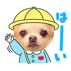 [LINEスタンプ] チョコとさくら➓