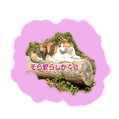 [LINEスタンプ] 福岡の田舎の丸太猫