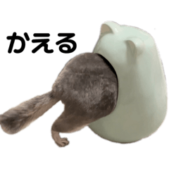 [LINEスタンプ] チンチラのとろろ