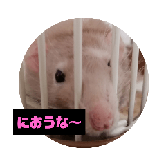 [LINEスタンプ] 日々日常その1