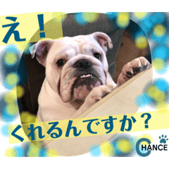 [LINEスタンプ] ブルドッグ のチャンスくん